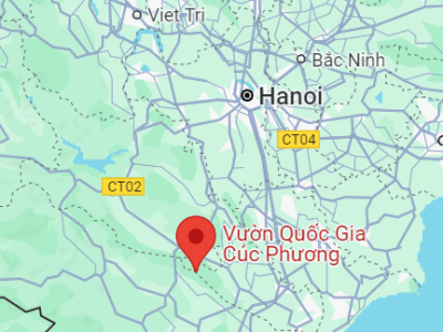 Trip Report 1/10/25: Cuc Phon National Park,&nbsp;Vietnam